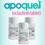 Apoquel http://goo.gl/wXubgF