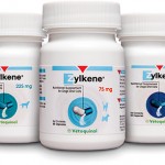 Zylkene