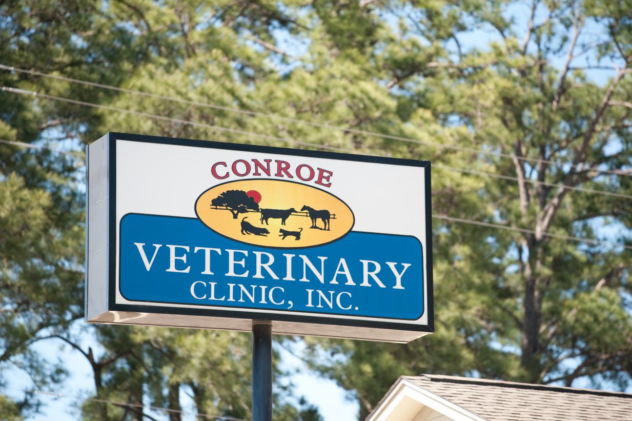 About Us Conroe Veterinary ClinicConroe Veterinary Clinic